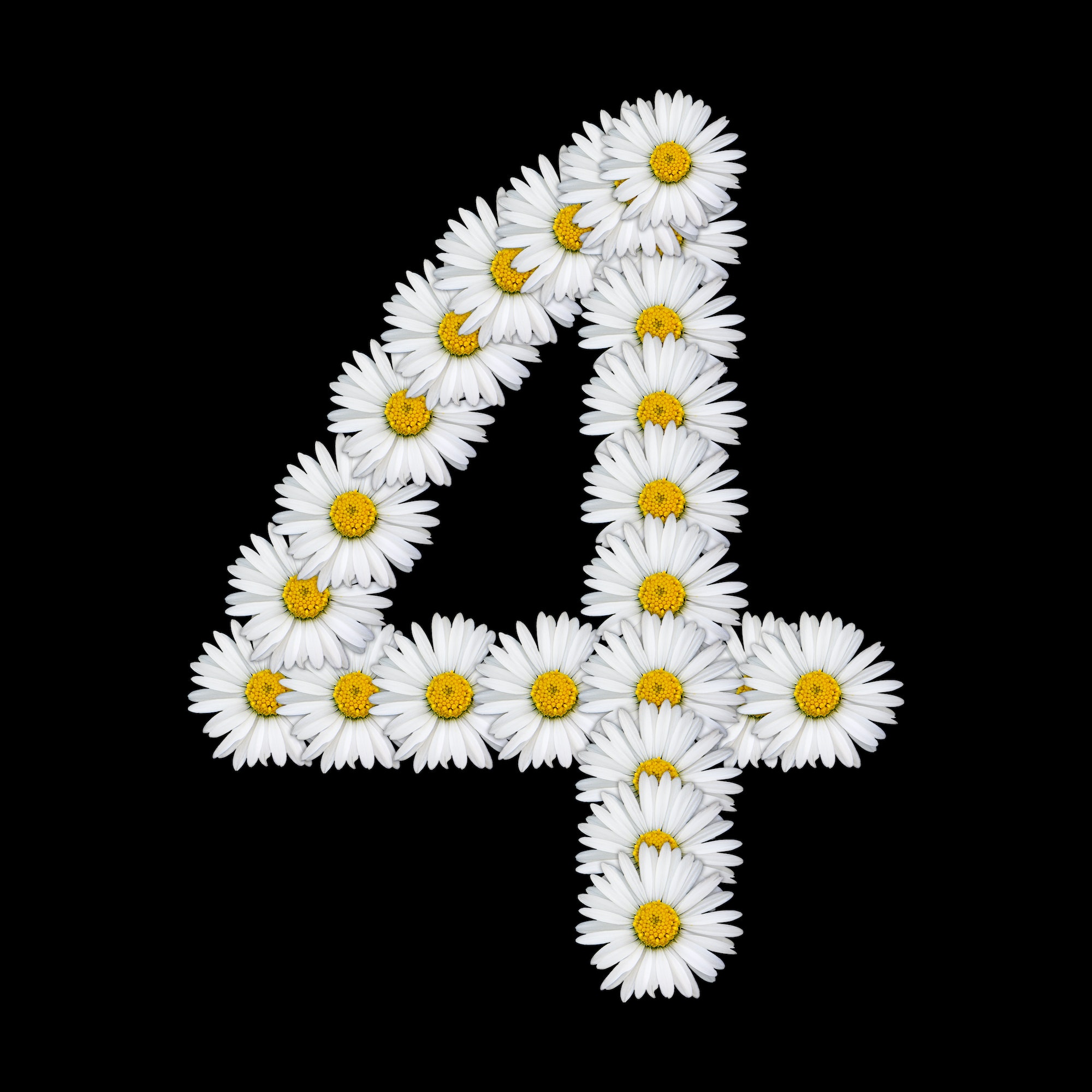 Flower number