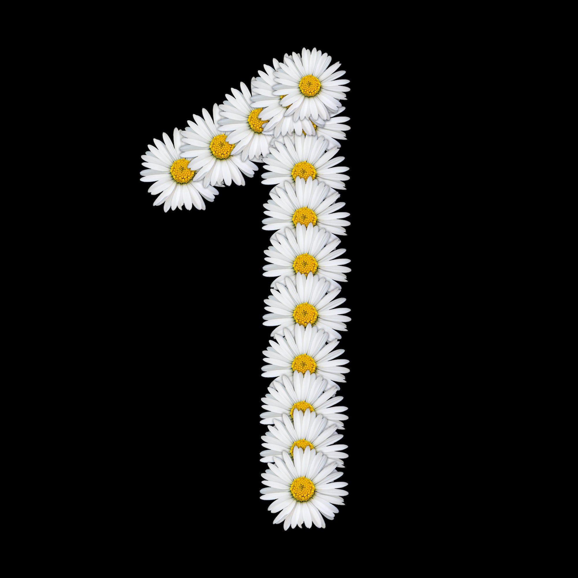 Flower number